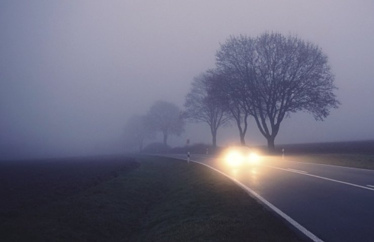 guida nebbia sicuri